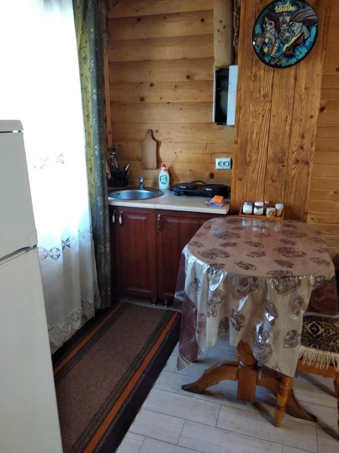 Cottage Spadok 沃罗赫塔 外观 照片